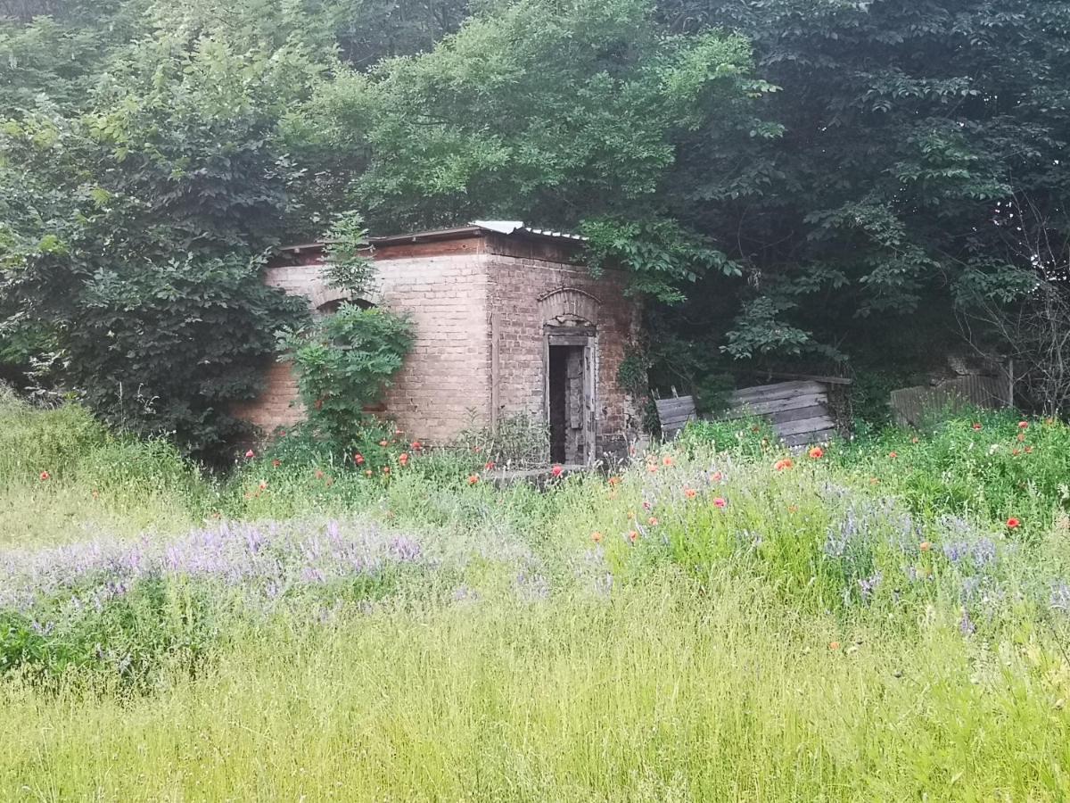 Gaestehaus Am Landgut Schonwalde-Glien Екстериор снимка